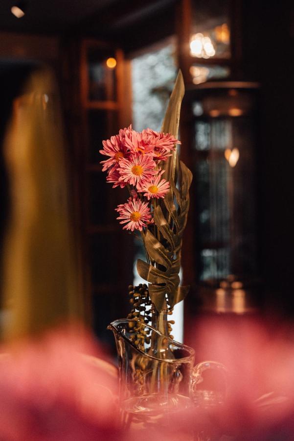 Casa Emilia B&B Boutique Meksika Dış mekan fotoğraf